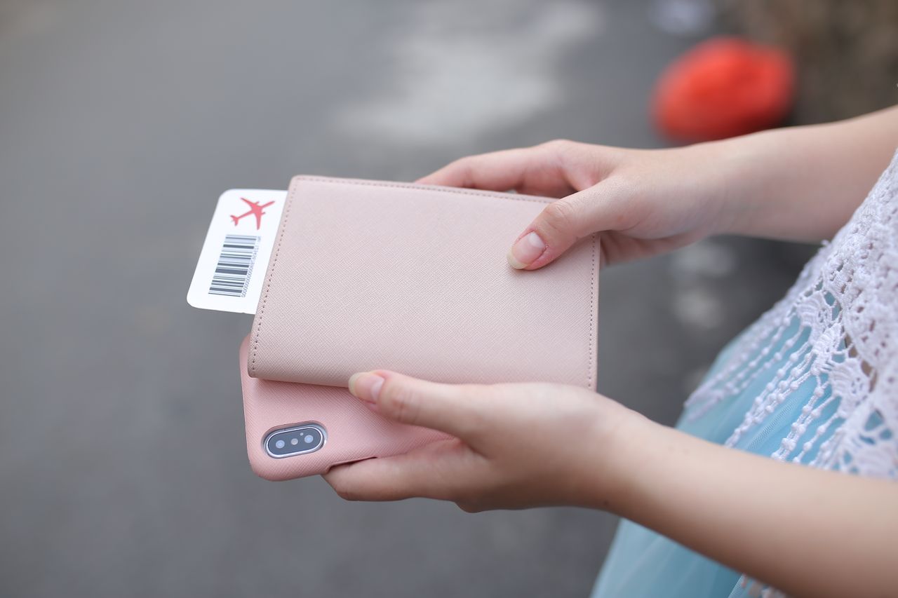 Travel Wallet