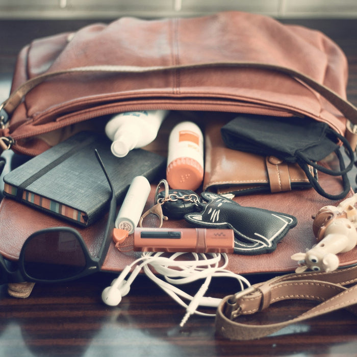 Anti Theft Purse