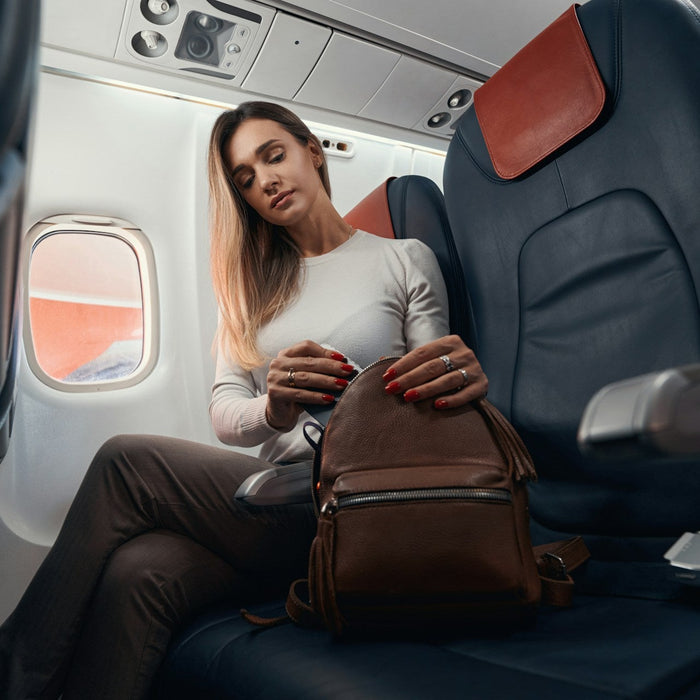 Travel Purse